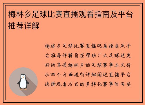 梅林乡足球比赛直播观看指南及平台推荐详解 梅林乡足球比赛直播观看指南及平台推荐详解